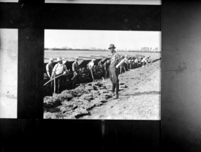 Arbeiders, werkzaamheden, kipkarren, Bestanddeelnr 253-7139