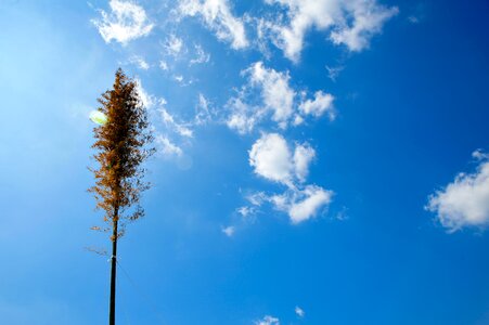 Blue sky outdoors sunny