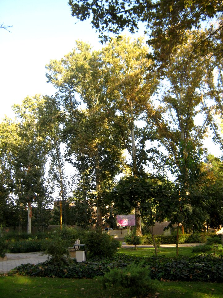 Amin al-Islami Park - Trees and Flowers - Nishapur 080