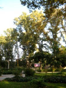 Amin al-Islami Park - Trees and Flowers - Nishapur 080