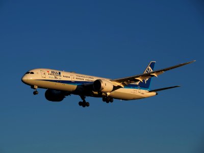 ANA Boeing B787-9 JA882A in Narita