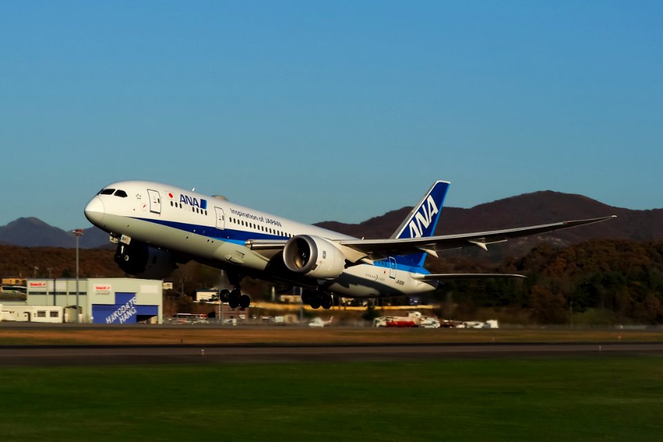 ANA Boeing B787-8 JA821A in Hakodate