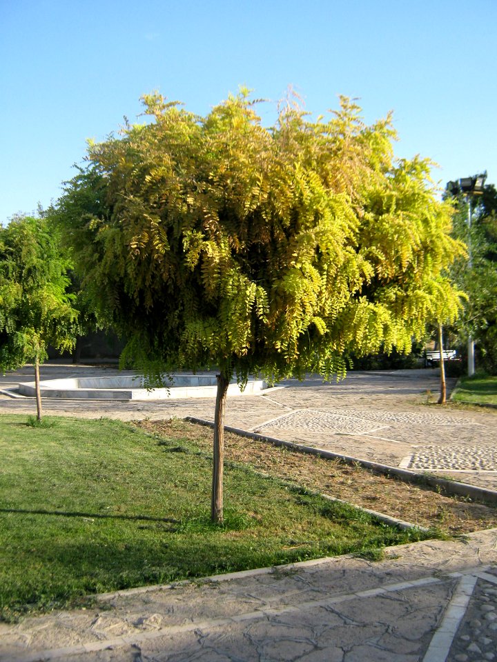 Amin al-Islami Park - Trees and Flowers - Nishapur 001