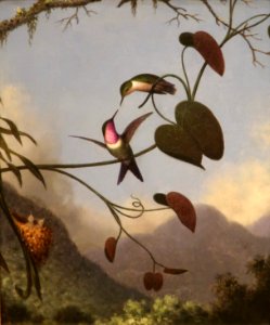 Amethyst Woodstar by Martin Johnson Heade
