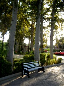 Amin al-Islami Park - Trees and Flowers - Nishapur 013 photo