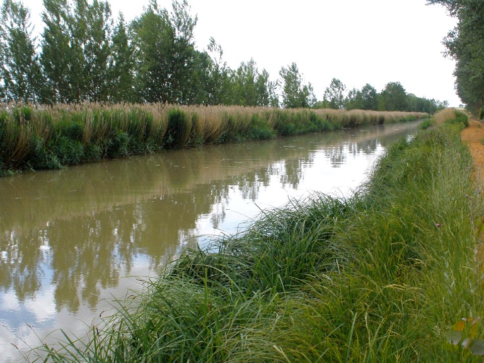 Amusco - Canal de Castilla 13