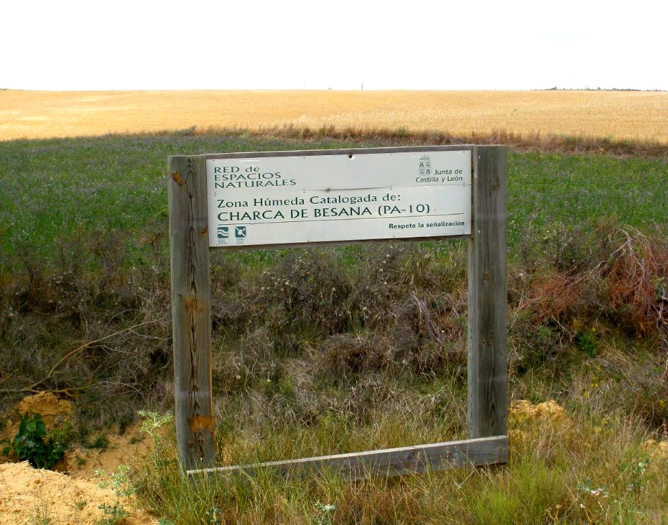 Amusco - Canal de Castilla 04