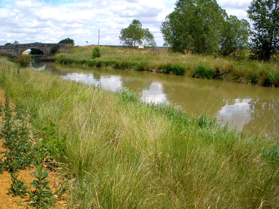 Amusco - Canal de Castilla 15