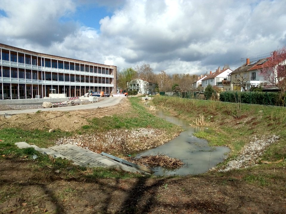 Alte Bach, Entdolung an der Durlacher Allee