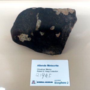 Allende meteorite, Mexico - University of Arizona Mineral Museum - University of Arizona - Tucson, AZ - DSC08479