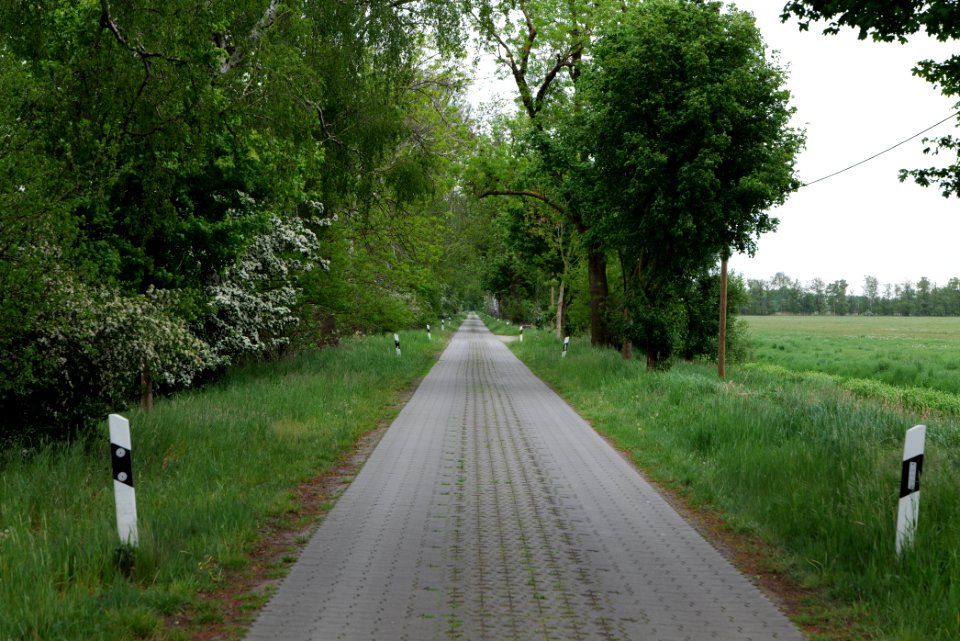 Alte Saatzucht Fehrbellin 2020-05-15 02