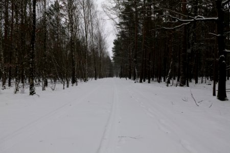 Alte Dorfstelle Ferch with snow 2021-02-07 16