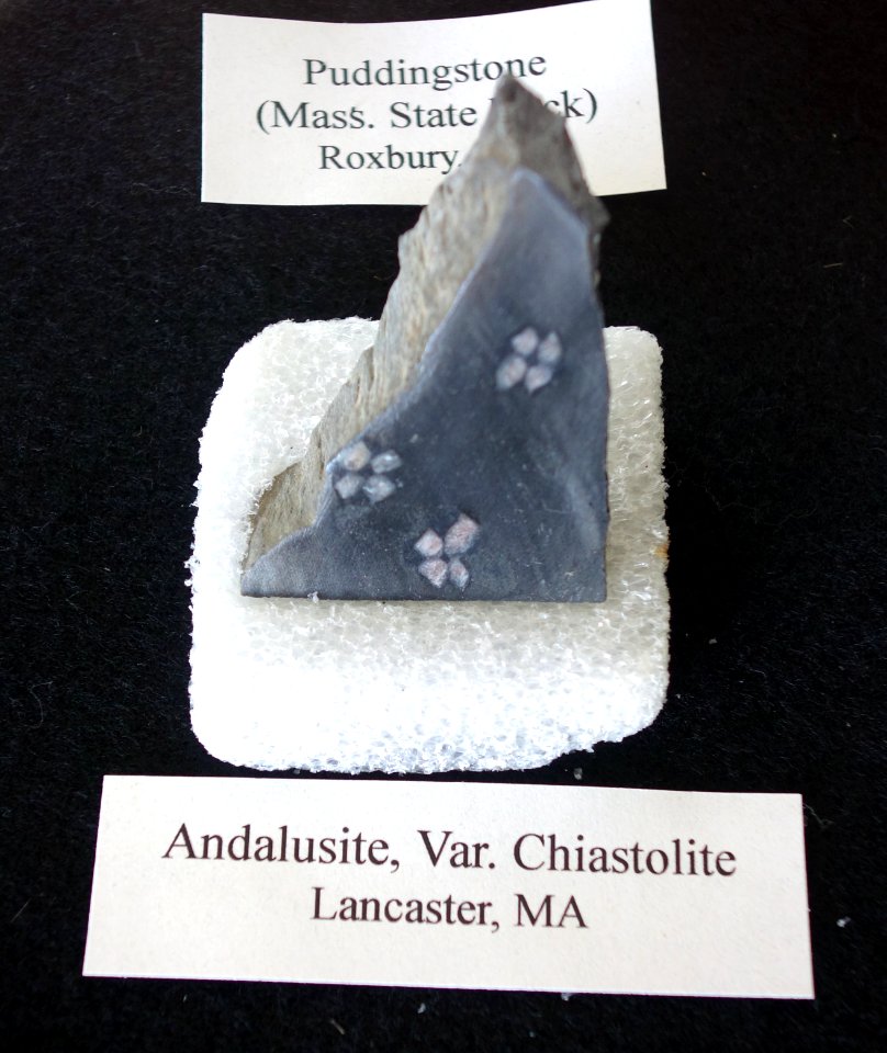Andalusite, var. chiastolite, from Lancaster, MA - Southern Vermont Natural History Museum - DSC08494