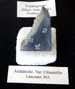 Andalusite, var. chiastolite, from Lancaster, MA - Southern Vermont Natural History Museum - DSC08494