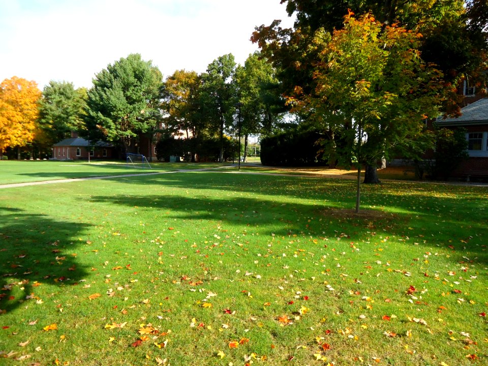 Andover Massachusetts Phillips Academy west quad south looking towards main campus