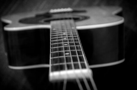 Acoustic music strings photo