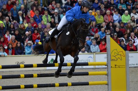 Stallion jump gallop