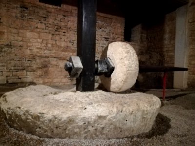 Amphitheatre (Pula), interior, exhibition 64