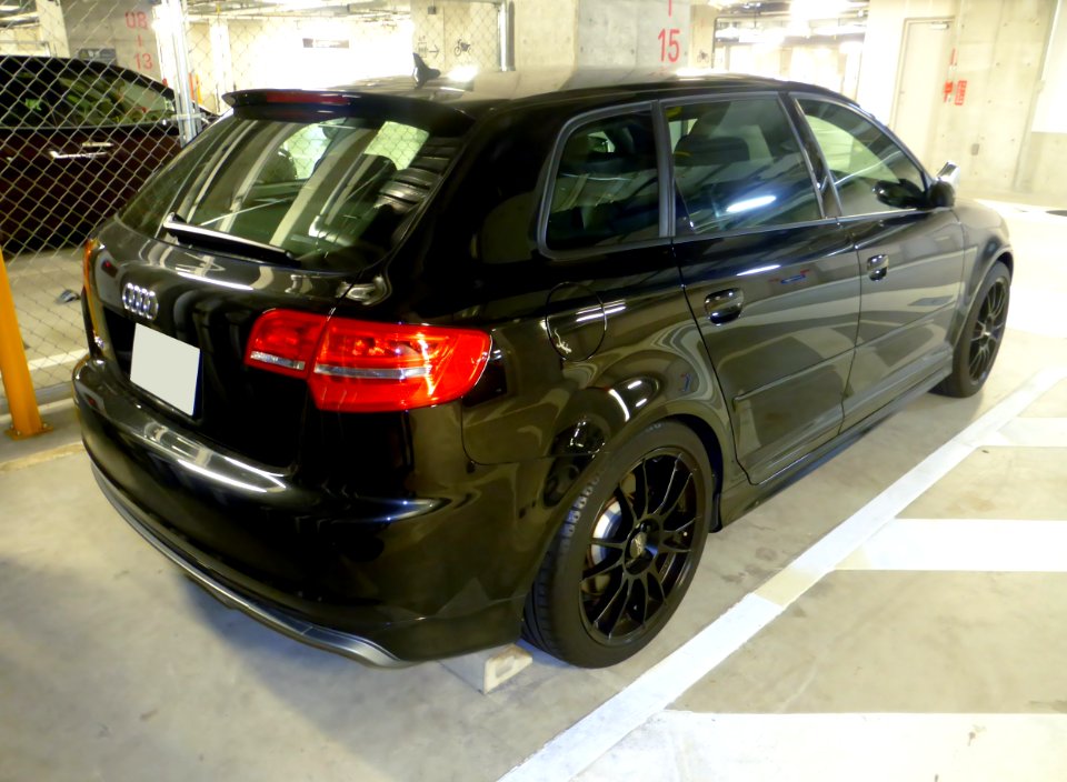 Audi S3 Sportback (8PCDLF) rear
