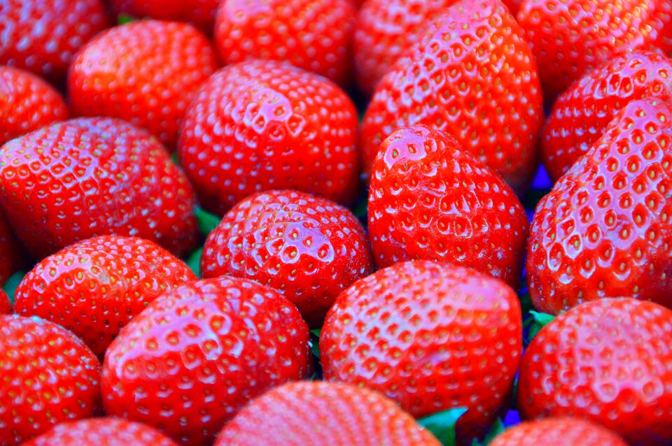 Succulent dessert juicy