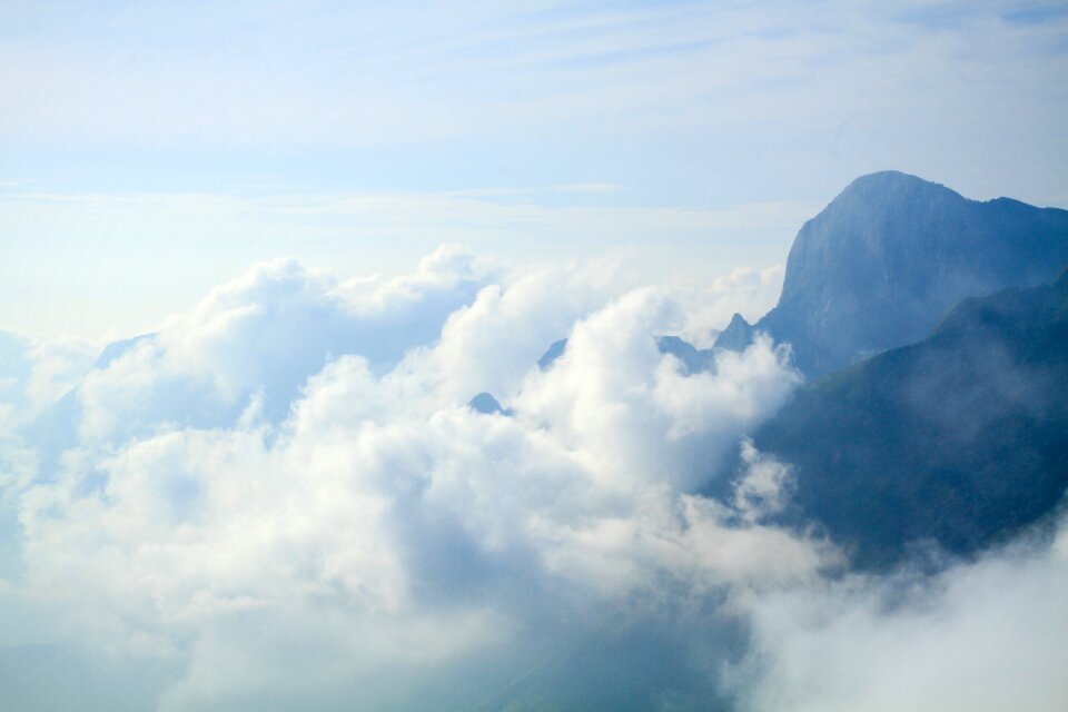 High summer landscape photo