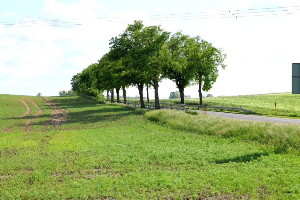 B109 in Haßleben 2021-05-29 04