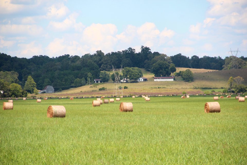 Bales of hay, Tellico Plains Sept 2019 3
