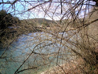 Aytodorka 8