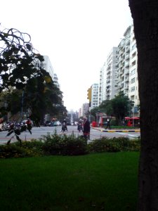 Avenida Lavalleja