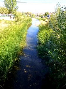 Autol - Río Cidacos 5