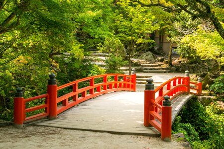 Red japan gradually