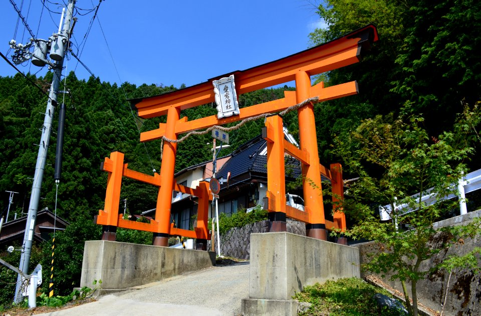 Atago-jinja (Kyoto city) shikimigaharatorii