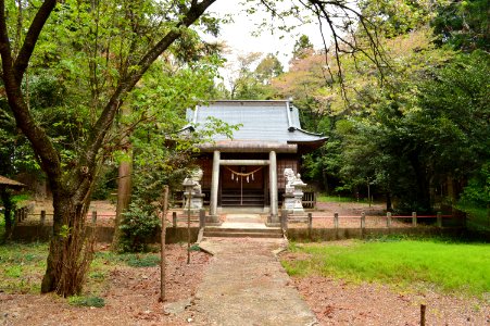 Atago-jinja (Shimotsuke), torii