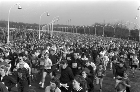 AVRO-Cross te Hilversum, Bestanddeelnr 922-2241