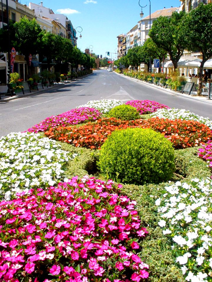 Antequera - Alameda de Andalucía 1