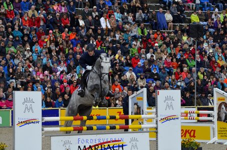 Stallion jump white horse photo