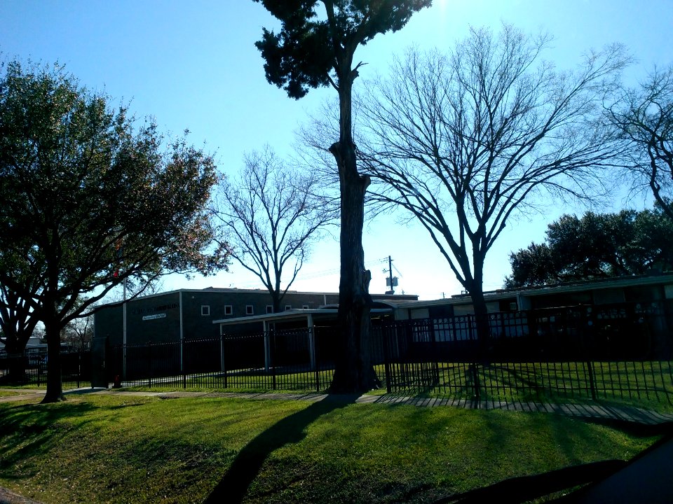 ArabicSchoolhouston2