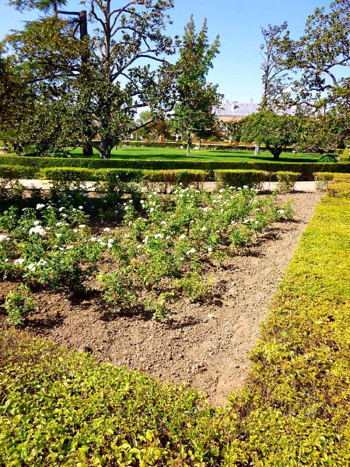 Aranjuez - Real Sitio, Jardín del Parterre 10