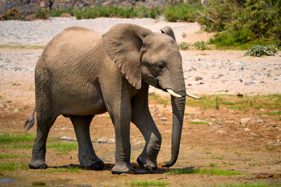 Africa namibia water