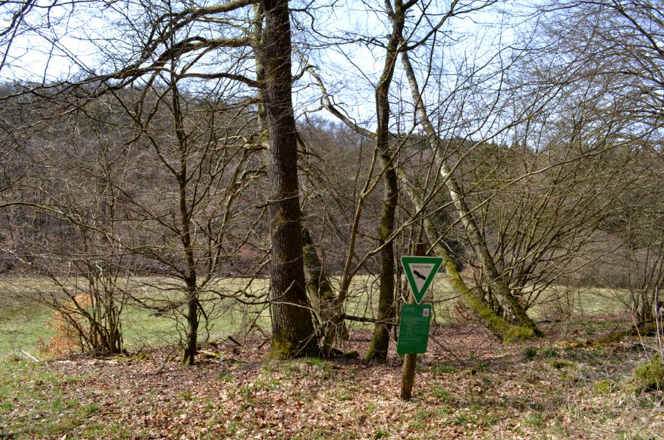 Anspach, Weihergrund von Anspach (5)