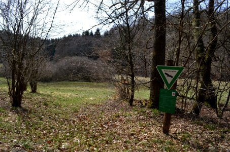 Anspach, Weihergrund von Anspach