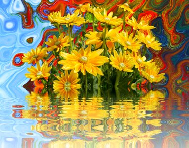 Bloom nature yellow flower