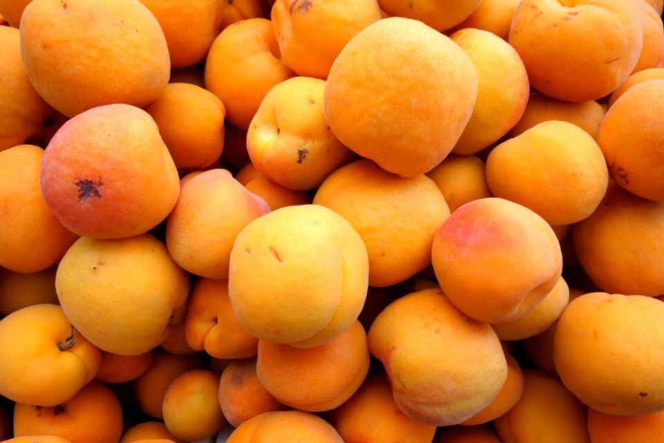 Apricots 2 - Farmer's Market at the Ferry Building - San Francisco, CA - DSC03603