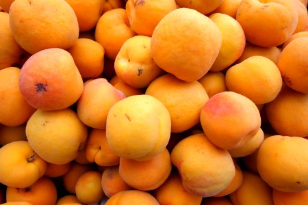 Apricots 2 - Farmer's Market at the Ferry Building - San Francisco, CA - DSC03603 photo