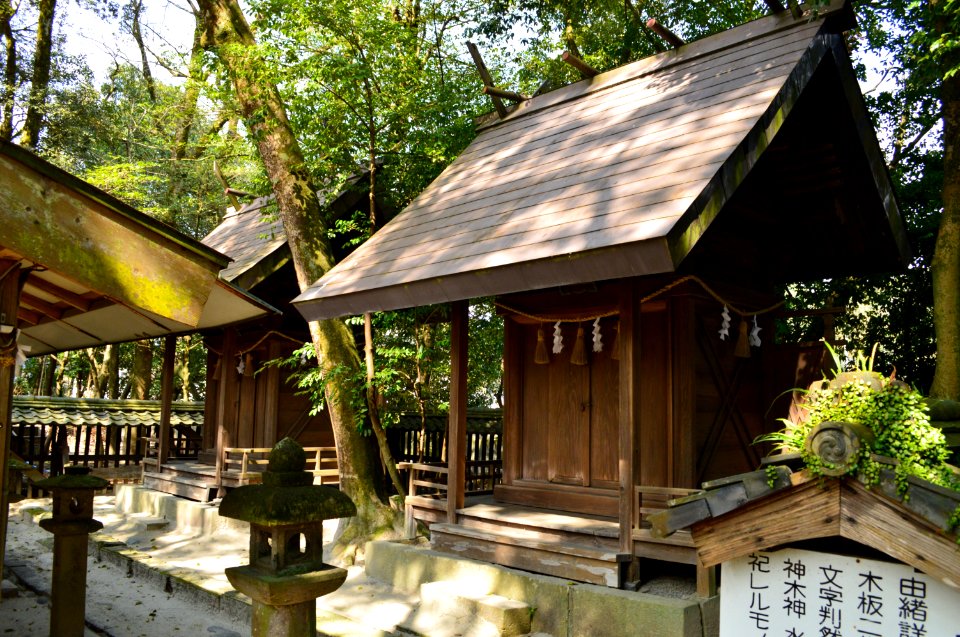 Aoi Aso-jinja, Aoi-daijingu