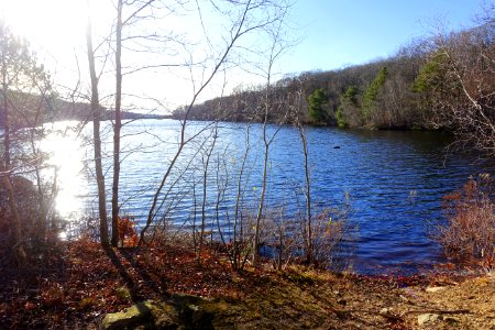 Babson Reservoir - Dogtown, MA - DSC01553