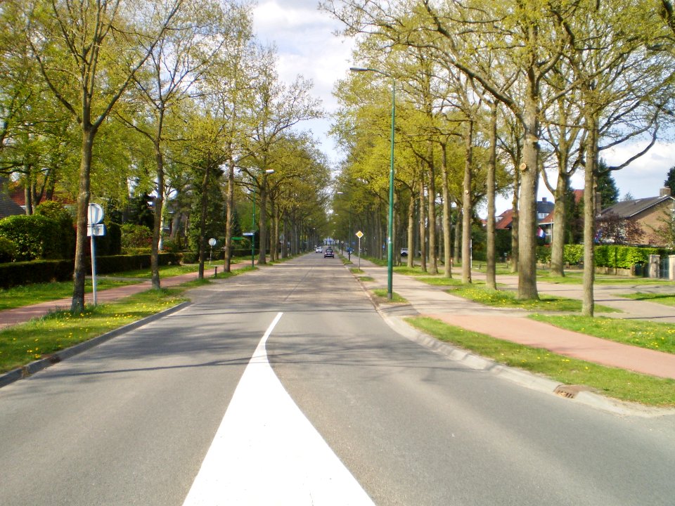 Baarn Torenlaan
