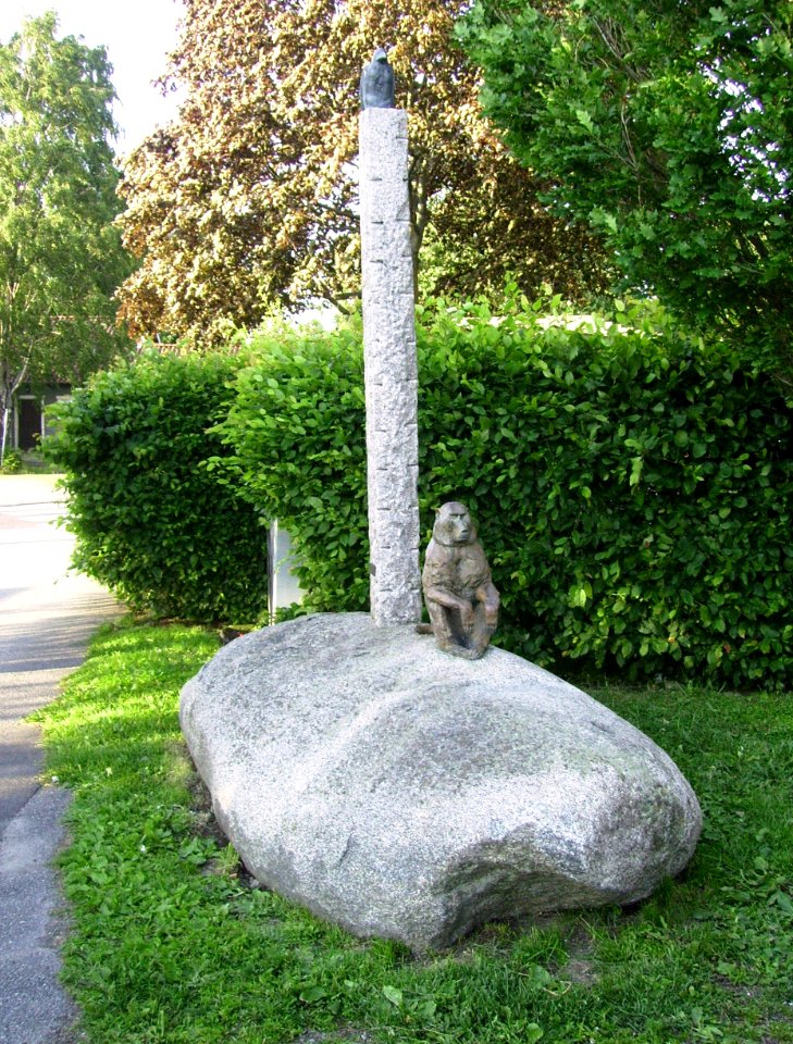 Babianen och kråkan