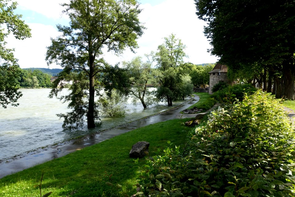 Bad Säckingen Rheinhochwasser Juni 2016 07