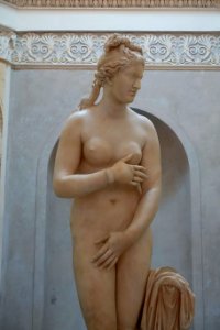 Capitoline Venus, MC 409, Roman, after original by Praxiteles, 4th century BC, view 2 - Musei Capitolini - Rome, Italy - DSC06013